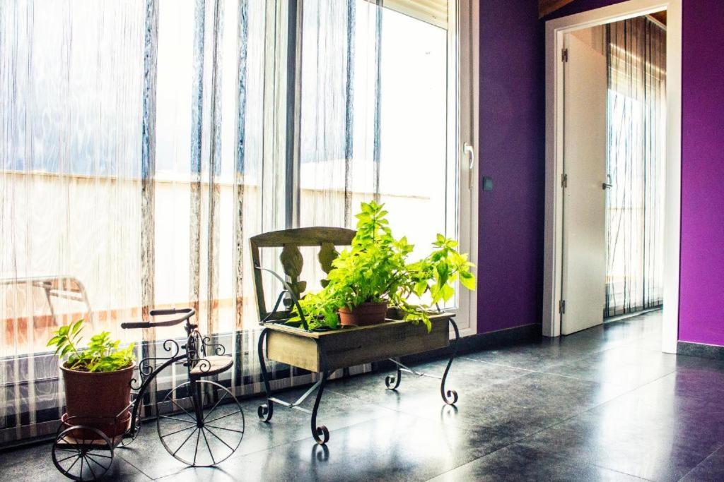 סנט מטאו Apartamento Con Estilo Y Acogedor מראה חיצוני תמונה